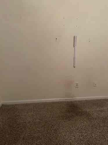 Looking for roommate now