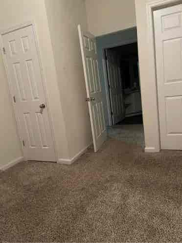 Looking for roommate now