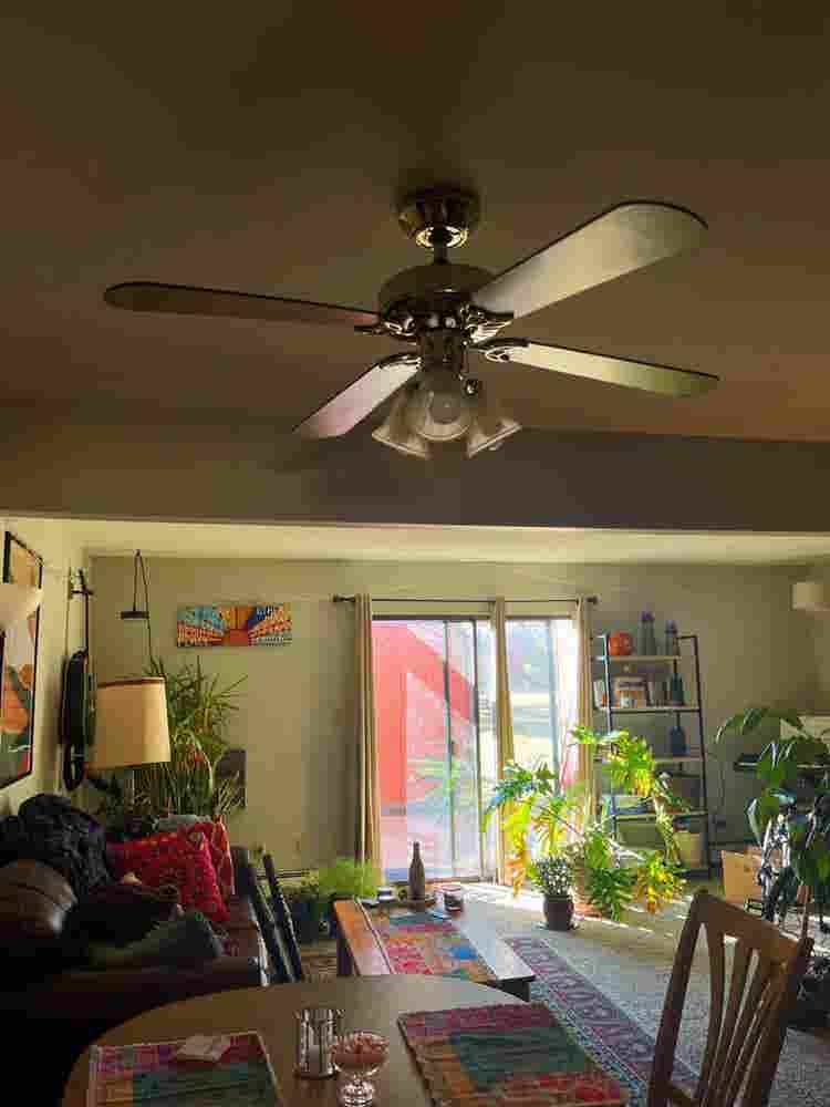 Room for Rent!!