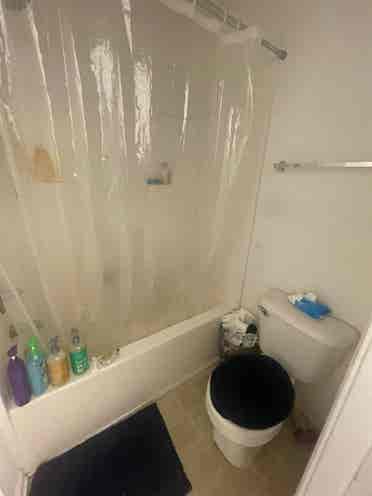 5 BR in Durham