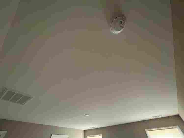 5 BR in Raleigh