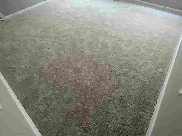 5 BR in Raleigh