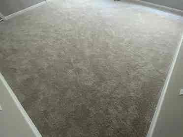 5 BR in Raleigh