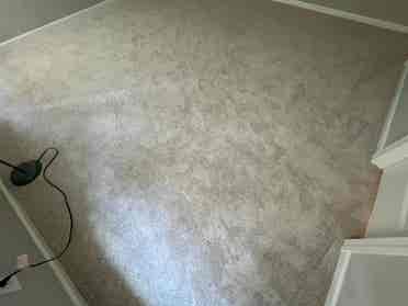 5 BR in Raleigh