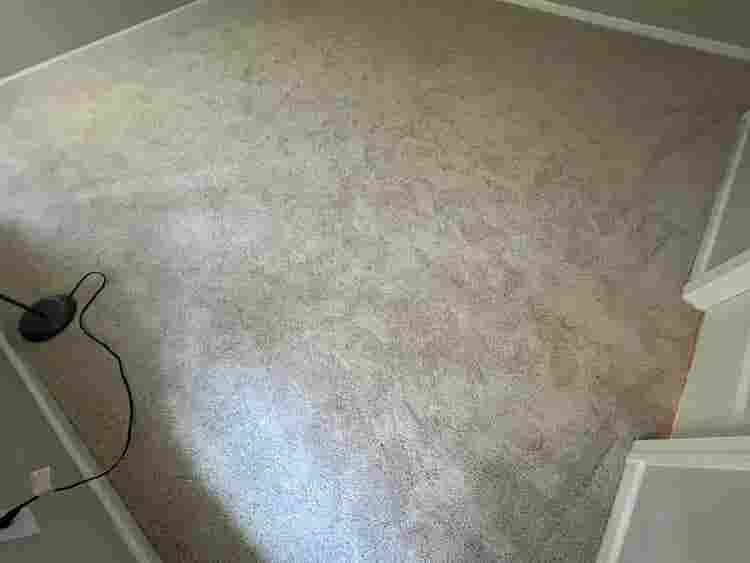 5 BR in Raleigh