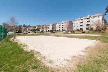 4 BR in Raleigh