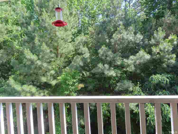 4 BR in Raleigh