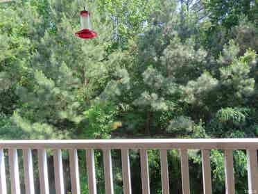 4 BR in Raleigh