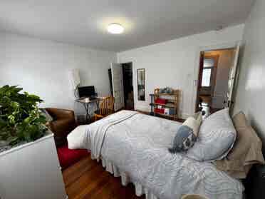 Cozy 3-bedroom near Tufts