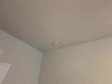 4 BR in Raleigh