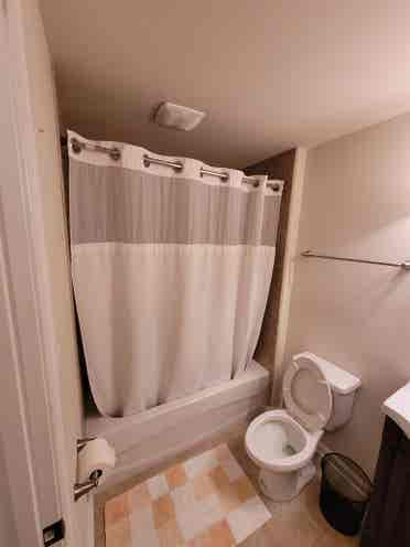 Basement for Rent