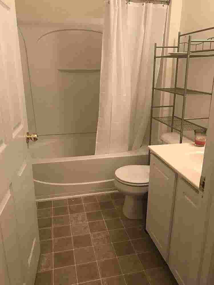 3 BR in Raleigh