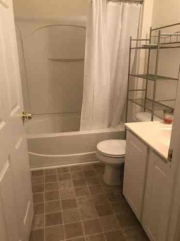 3 BR in Raleigh
