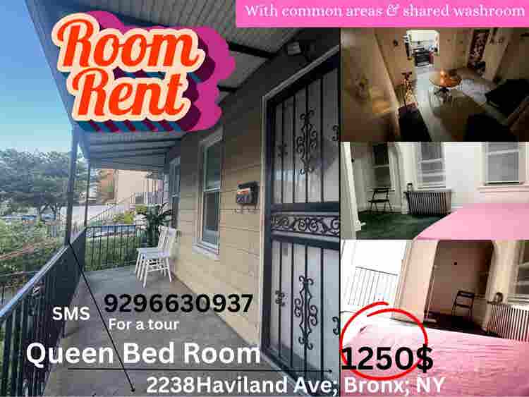 Sharing Room & Bunk Bed