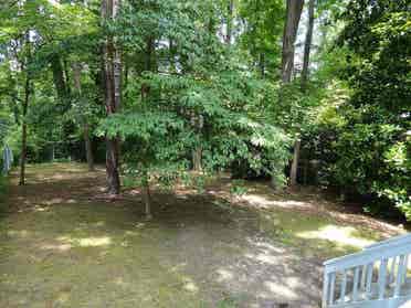 3 BR in Raleigh