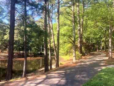 3 BR in Raleigh