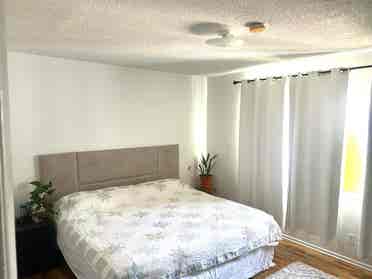 rooms to rent (parking incl)