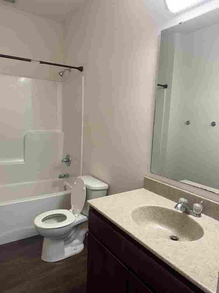 Hi Vine off campus apartment