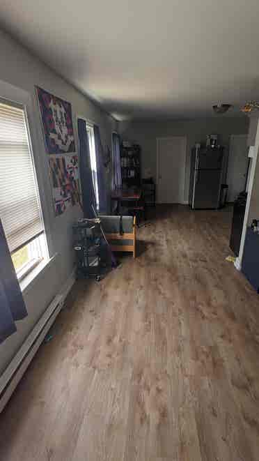 Looking for a roommate