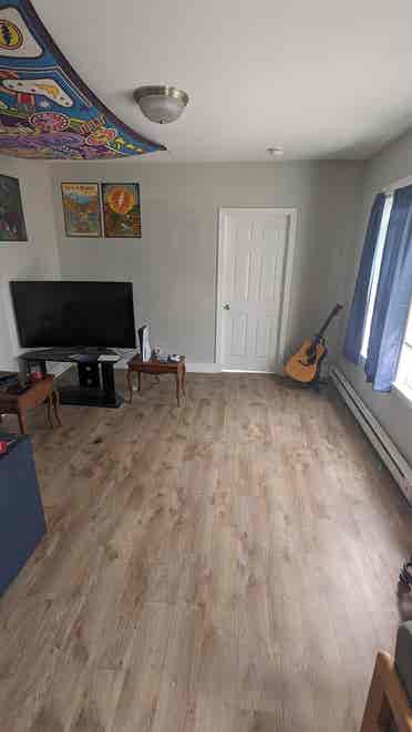 Looking for a roommate