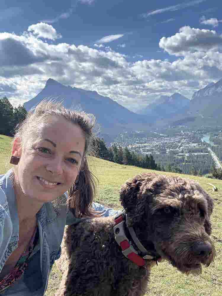 Seeking one bedroom, dog friendly