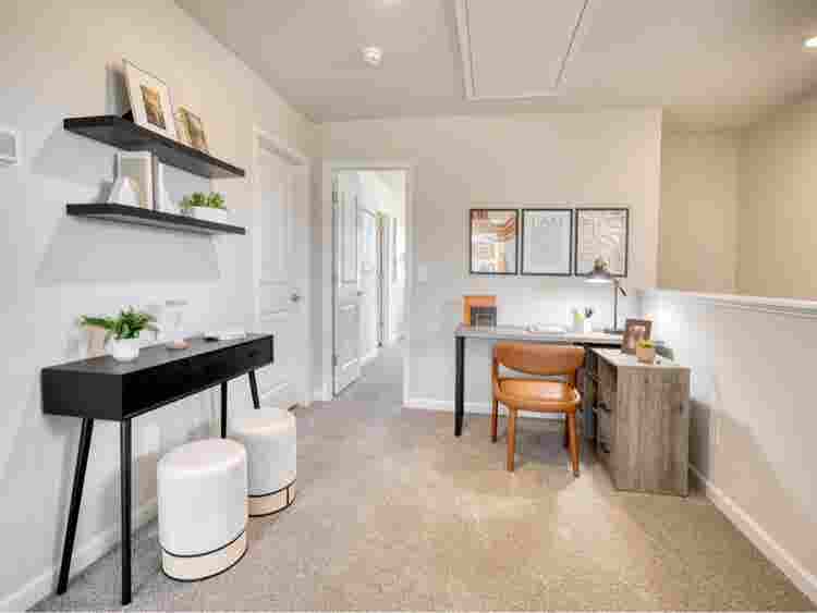 Housemate Wanted for 3 BR Townhouse