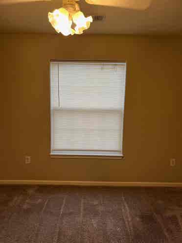 Looking roommate for my apartment!