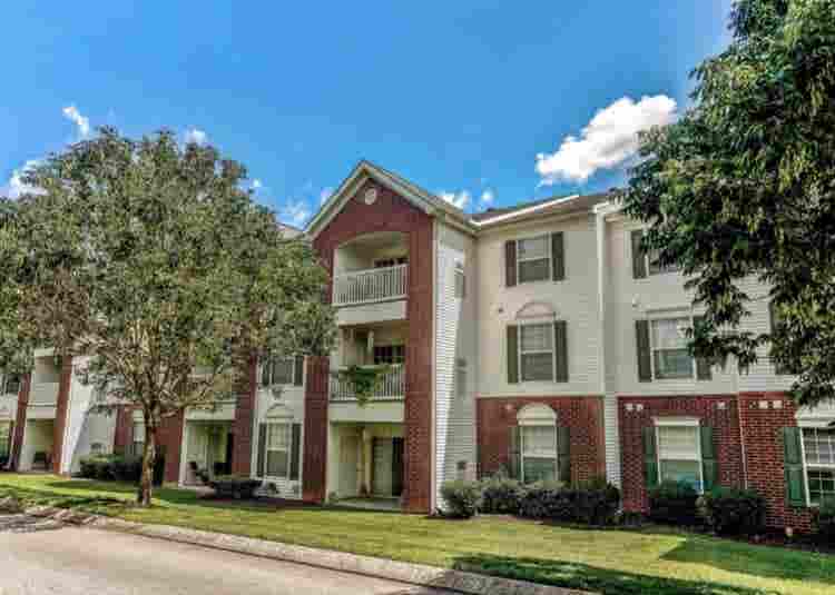 Looking roommate for my apartment!