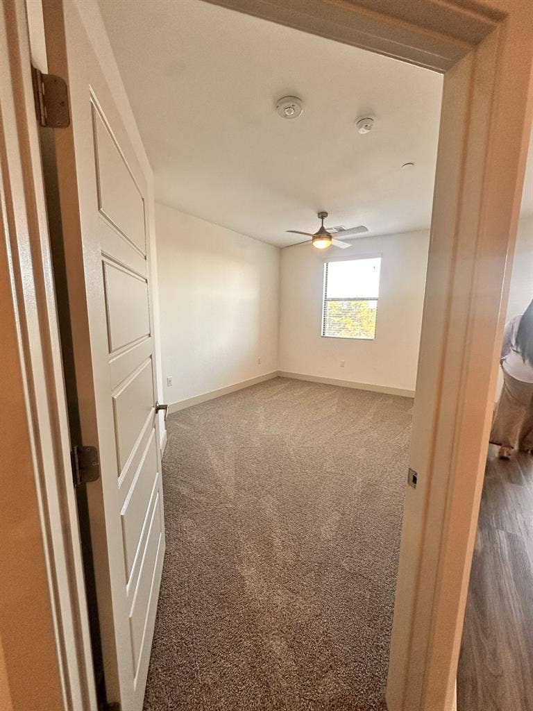 Private room and bedroom
