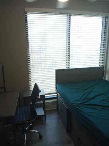 LEASE TAKEOVER - Student housing