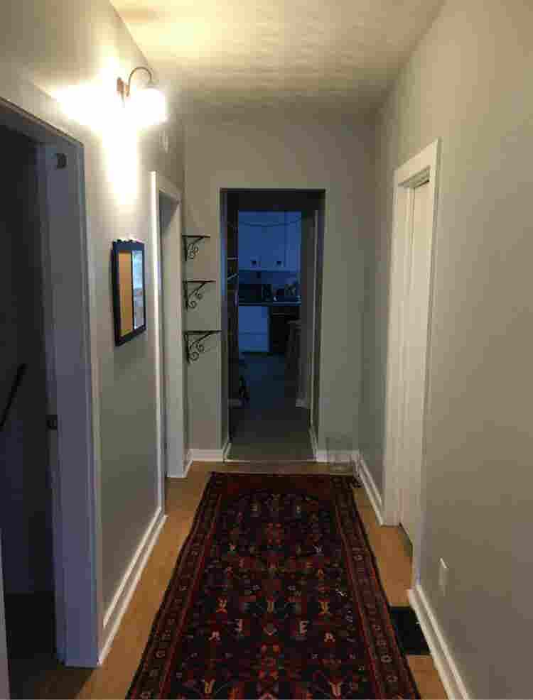 Trinity Pl. 3 Bdrm Spring semester!