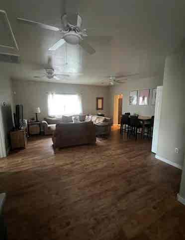 Looking for female student roomate!