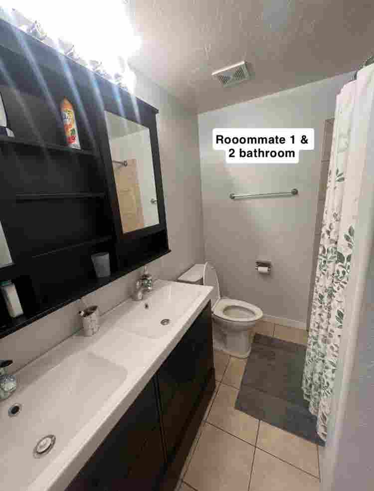 Looking for female student roomate!