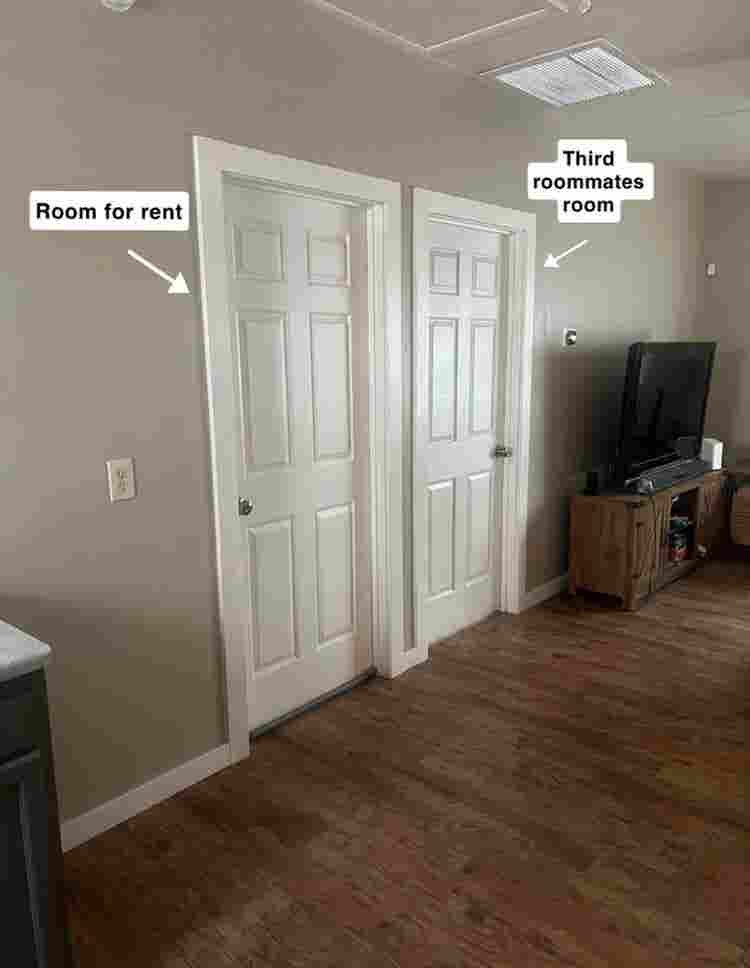 Looking for female student roomate!