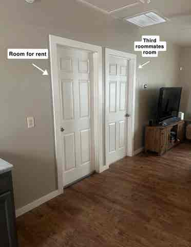 Looking for female student roomate!