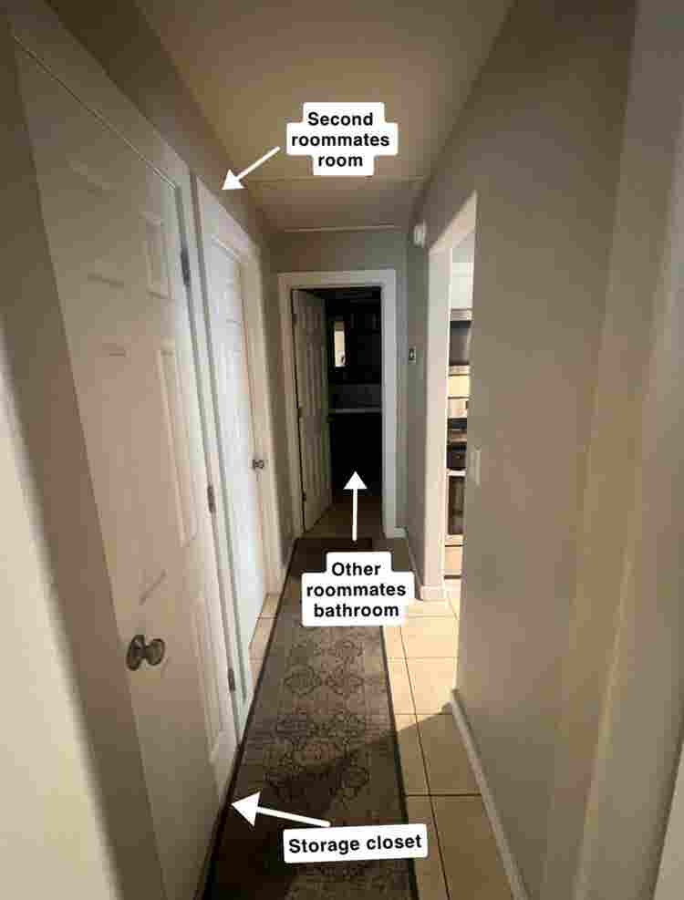 Looking for female student roomate!