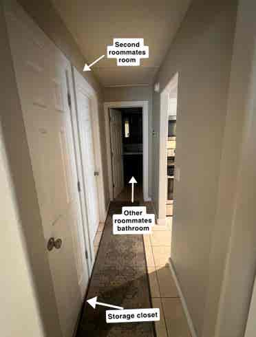 Looking for female student roomate!