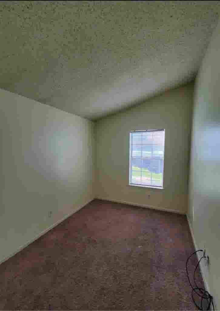 Looking for a roommate.