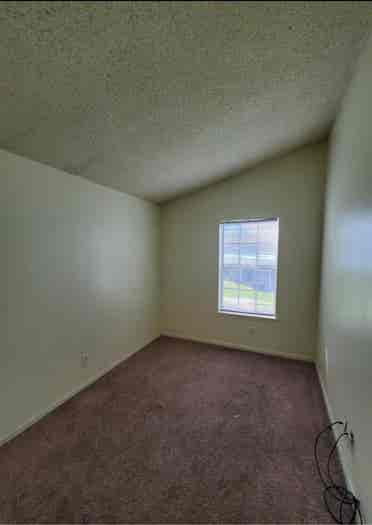 Looking for a roommate.