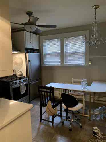 Looking for a roommate!