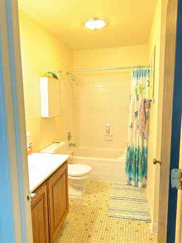Looking For Roommate