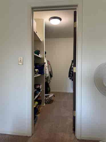 Looking For Roommate