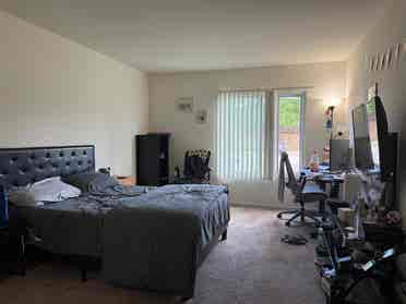 Looking For Roommate