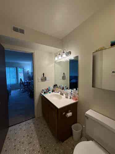 Looking For Roommate