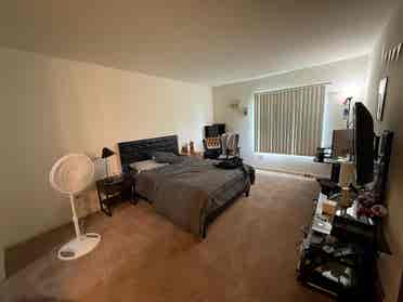 Looking For Roommate