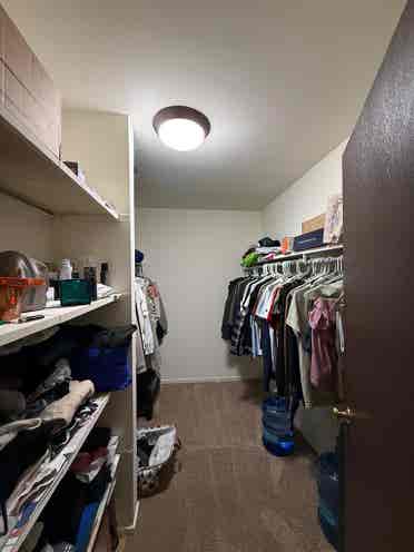 Looking For Roommate