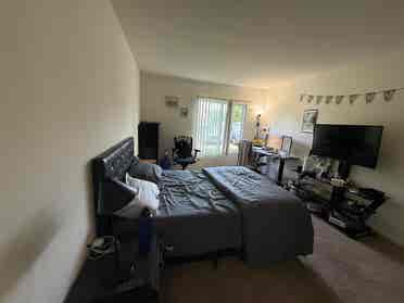 Looking For Roommate