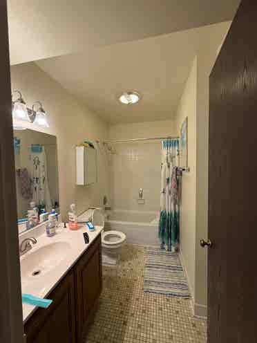 Looking For Roommate