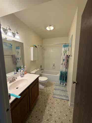Looking For Roommate