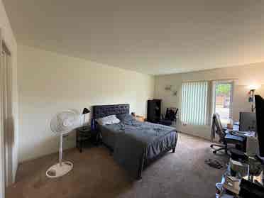 Looking For Roommate